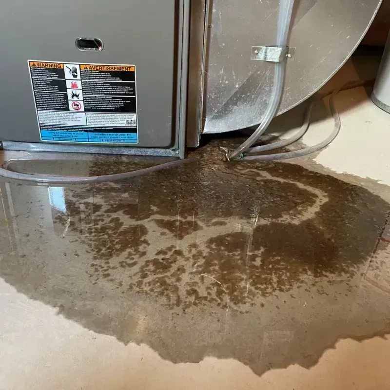 Appliance Leak Cleanup in Greene County, MO